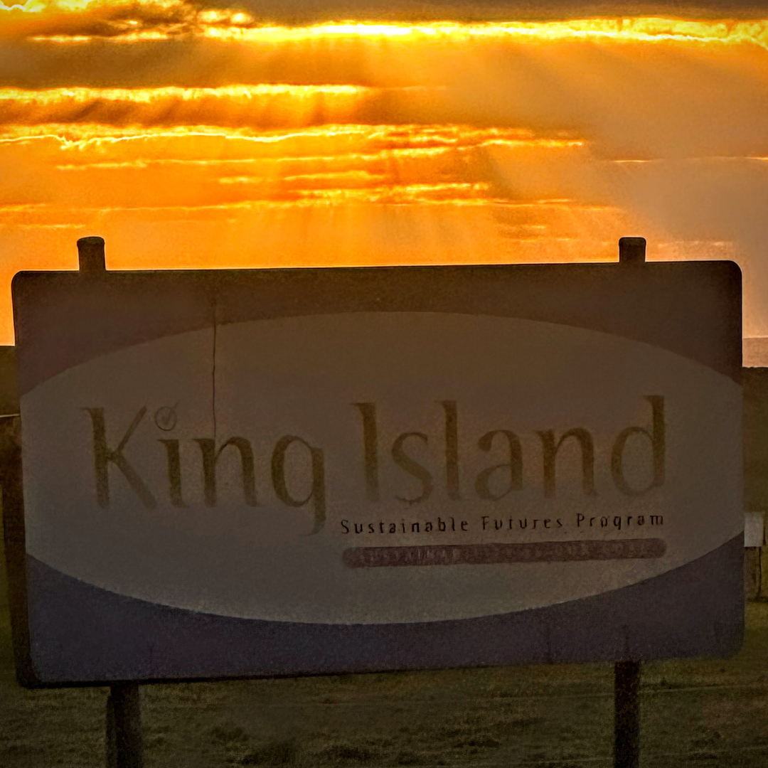 Currie, King Island, Tasmania sign with golden rays shining on it from the sunset, a sign on the way, as we are driving to King Island Distillery