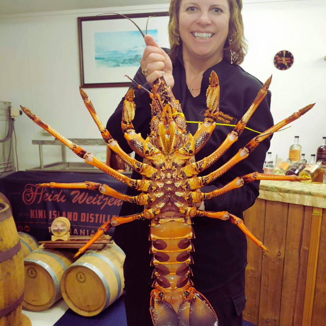 King Island Crayfish Cooking Classes with Happy Heidi holding a large live lobster in the King Island Distillery