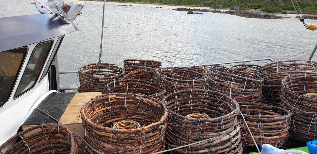 Stills Across the Strait Tasmania to King Island