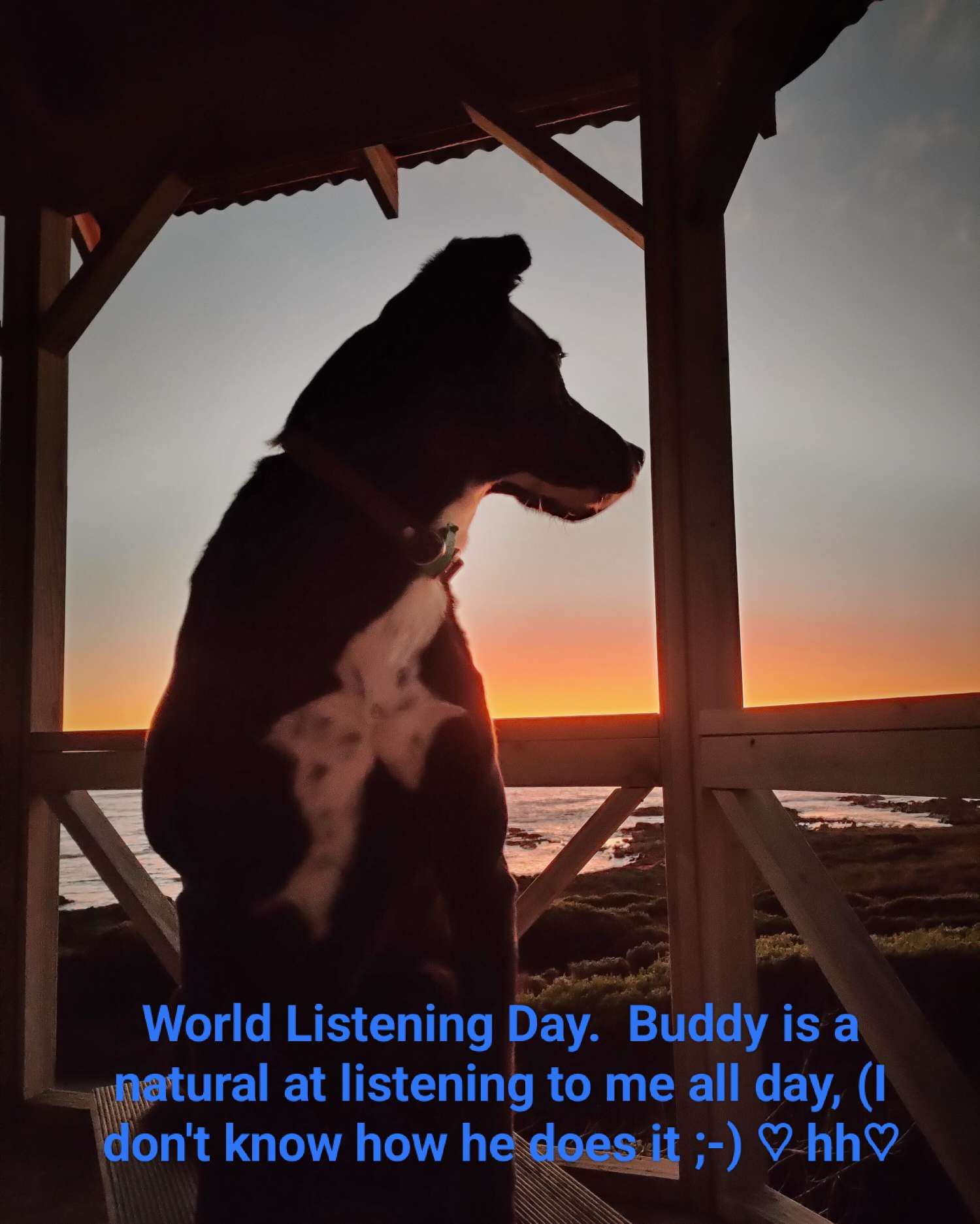 World-listening-day-buddy-king-island-tasmania