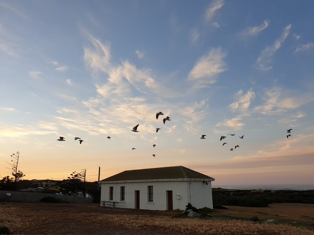 Visit King Island and the magnificent museum