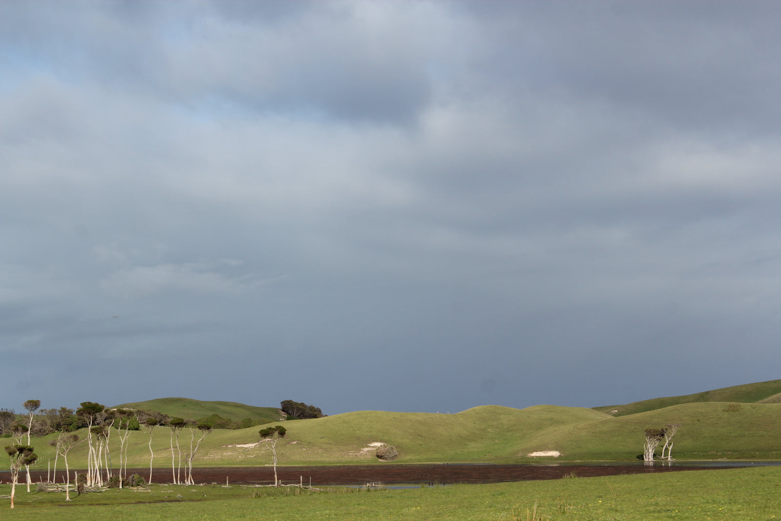 Lake Flannigan is a natural freshwater lake on King Island