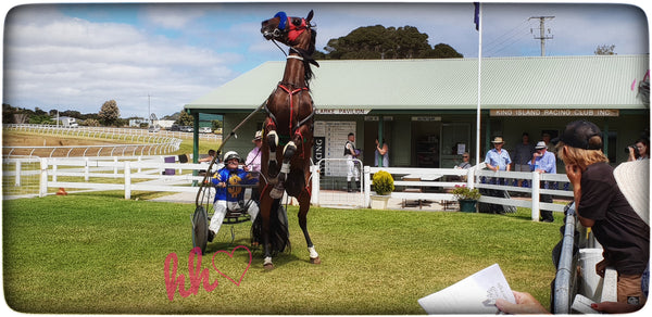 You are invited to 7 Horse Race meets from Dec 2021 - Jan 2022 King Island Tasmania